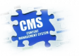 Content Management System (CMS) Training in the US