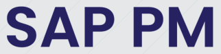 SAP PM Training in the US