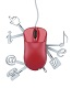 Web Services Training in the US